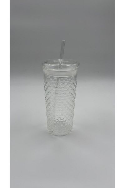 ERKUGO Squama Borosilicate Cold Coffee Glass with Glass Lid – 650 ml