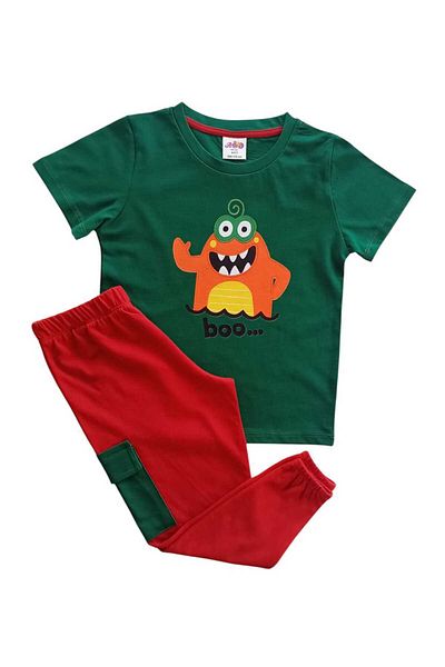 Ropi Boy's Printed Summer Top and Bottom Set