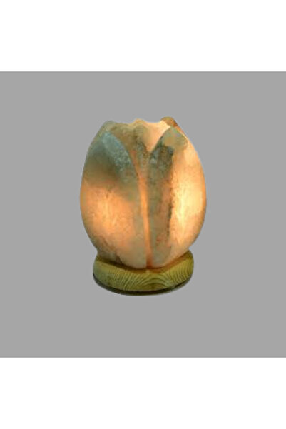 tuzaura tuz lambası gül model çankırı tuz lambası