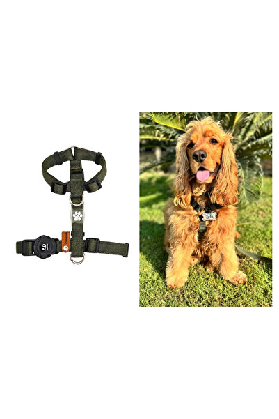 IG Design Basic H Tipi Göğüs Tasması