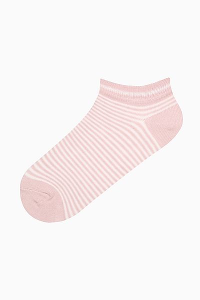Penti 5 Pairs Cotton Multi-Pattern Booties Socks