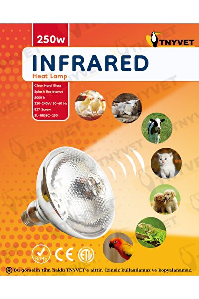 TNYVET Infrared Şeffaf / Gün Işığı Rengi Isıtıcı Lamba 250 Watt
