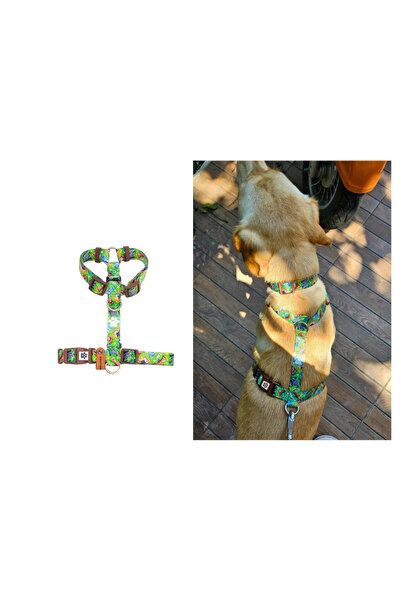 IG Design Geri Dönüştürülmüş Desenli H Tipi Göğüs Tasması