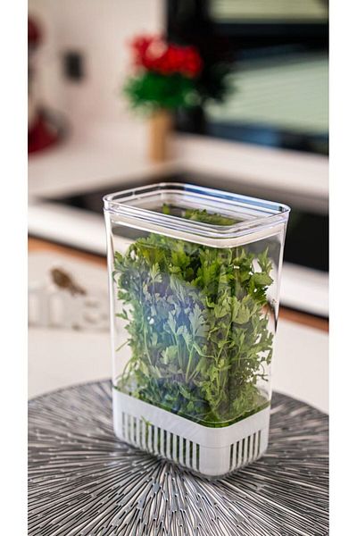 Comprox Greenery Storage Container 2900 ml |   Vegetable Storage & Refrigerator Freshener Box