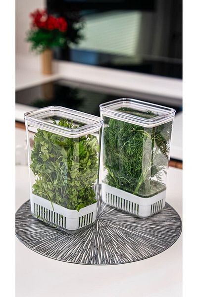 Comprox Greenery Storage Container 2900 ml |   Vegetable Storage & Refrigerator Freshener Box
