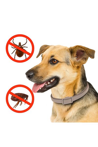 SyaMAG Antiparasitic Dog Collar, NatGuard, 59cm, Anti-Tick and Flea Protection, Safety, 4 Month Duration