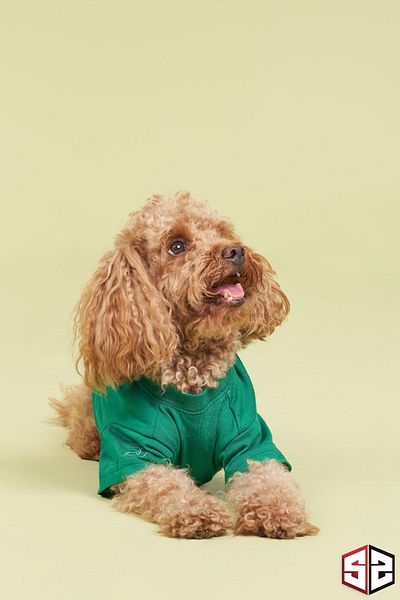 salya store 100% Organic Cotton Fabric Dog Clothing, Camping