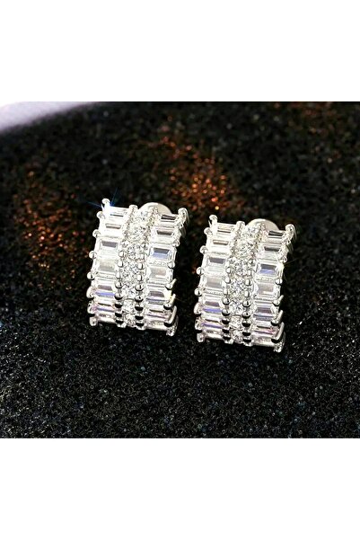 reyselstyle Zircon Stone Luxury Steel Earrings