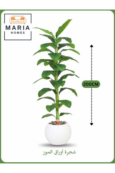MARIA HOMES Artificial Banana Leaf Tree 200 cm – Tall Indoor Plant with White Pot