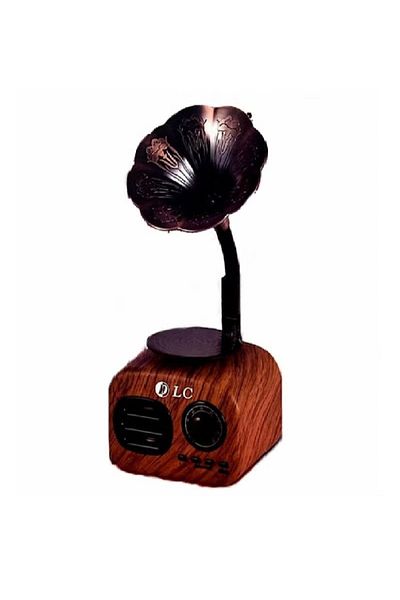 DLC Bluetooth Headset and Radio