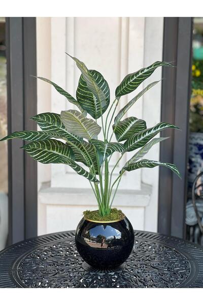 TASARIMHMODA Yapay Bitkili Dekoratif Cam Vazo Siyah