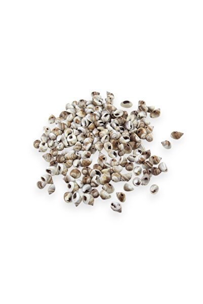 Serhat Aksesuar ve El İşçilik 14 mm Brown Pattern Sea Shell Beads (77 Pcs)