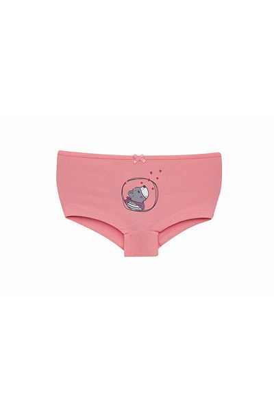 Cicito Girl's Cotton Lycra Colorful Bikini Panties 3 Pack 6231