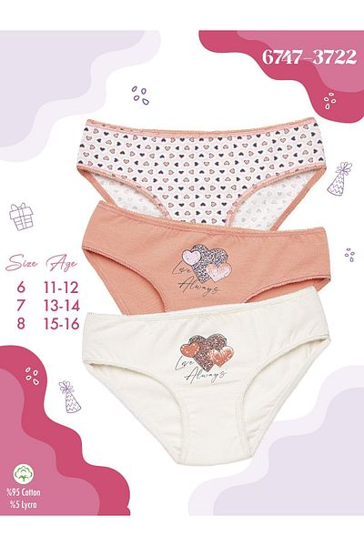 Cicito Girl's Cotton Lycra Color Bikini Panties 3 Pack 6747