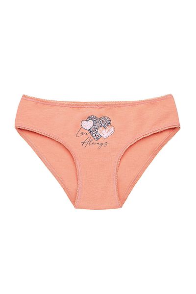 Cicito Girl's Cotton Lycra Color Bikini Panties 3 Pack 6747