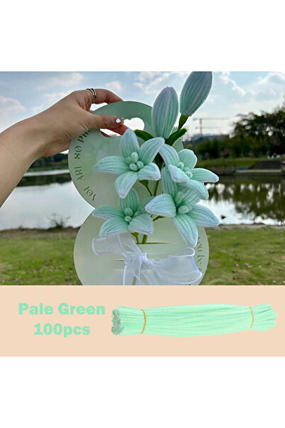 Choice19 100 قطعة من أسلاك نسيج الشنيل الملونة، لون أخضر فاتح، مقاس 30 سم × 0...