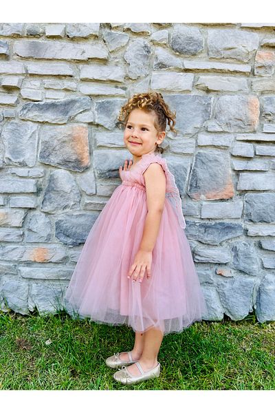 penu baby kids Powder Strap Tulle Gilet Back Butterfly Wing Girl's Baby Girl Dress