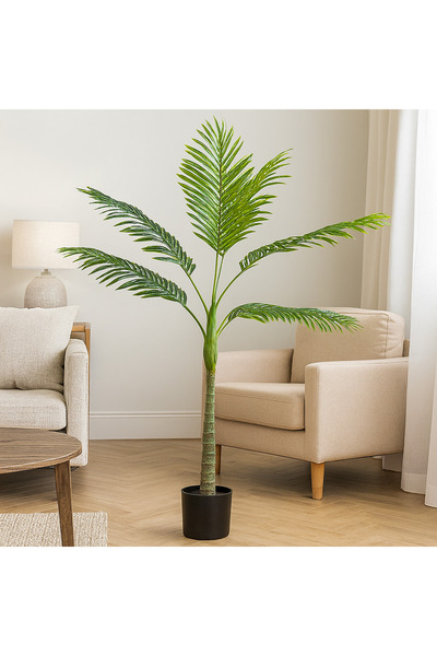 Gharaib Al Tuhaf نخلة فيستا – أناقة استوائية بارتفاع 110 سم