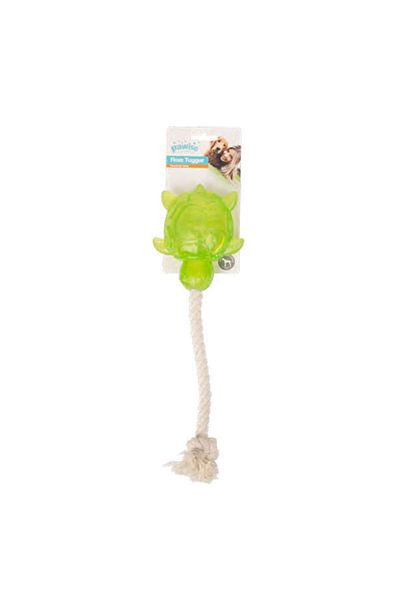 Pawise Happy Life Toy Drawstring Turtle Hnzrn