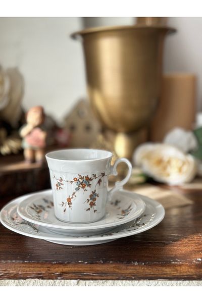 Bavaria Eshenbach Bavaria Stamped Minimal Soft Floral German Porcelain Trio Double Coffee Tea Cup 3 Pieces
