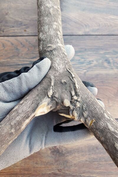 Vixpet Venty Natural Shaped Parrot Perch 45.5 cm | Jako, Amazon, Eklektus, Alexander, Kayak, Konur - T604