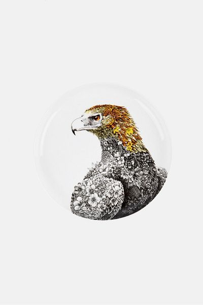 Maxwell & Williams Marini Ferlazzo Collection Wedge-tail Eagle High Rim Plate , White
