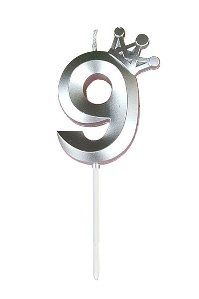 L&Wen Number Birthday Candles, Number 9 Cake Candles for Birthday, Wedding (1Pc, Silver)