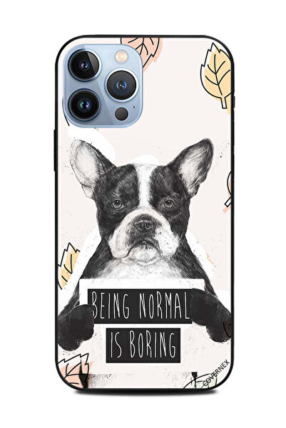 Covernex غطاء حماية لهاتف Apple iPhone 13 Pro Max - أن تكون عاديًا أمر ممل