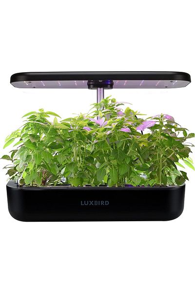 Inkbird Luxbird Indoor Planting Machine Growing Herb Starter with LED Grow Light Hydroponics System 3L Large