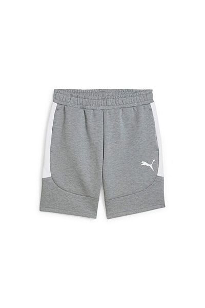 Puma Teamevostripe Shorts Men's Casual Shorts 65995133 Gray
