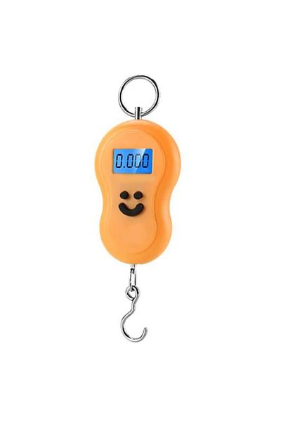 Deliny Portable Scale, Electronic 50 kg