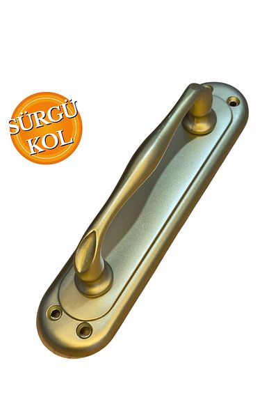 HOBİDABİ 2 Pieces Matte Gold Dove Sliding Door Handle Curved Pull Handle