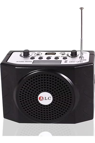 DLC Portable Amplifier With Usb Tf Card And Fm Radio Remote Control Black