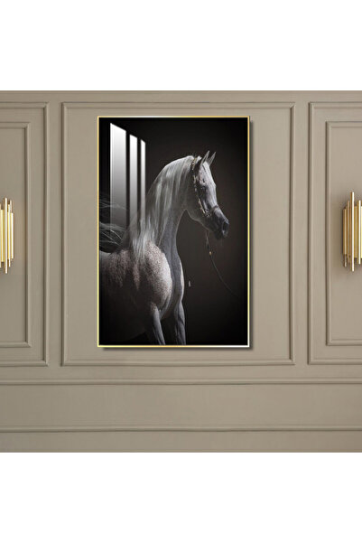 SND لوحة جدارية خشبية فاخرة مع برواز فضي و طبقة من الاكرليك الشفاف