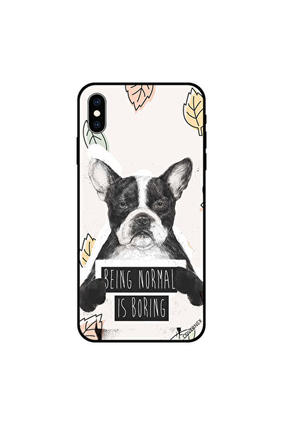 Covernex غطاء حماية iPhone XS: كونك عاديًا أمر ممل