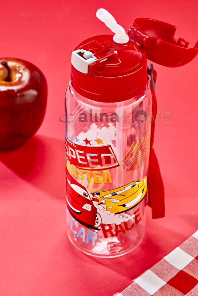 ALİNA HOME 500 ml Car Model Flask