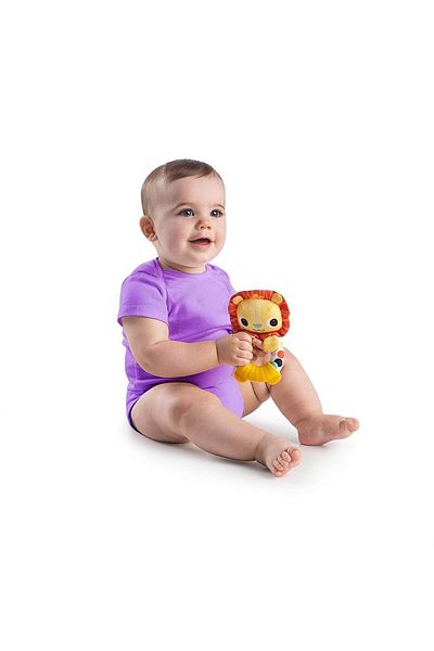 Bright Stars Bright Starts Cute Rattle & Teether My Friend Lion