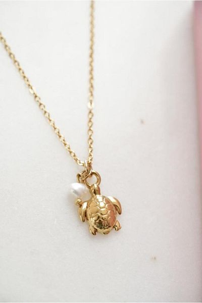 AŞIK ACCESSORIES Stainless Steel Lucky Turtle Necklace