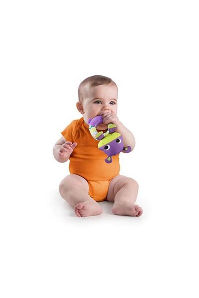 Bright Stars Bright Starts Cute Rattle & Teether My Friend Hypo