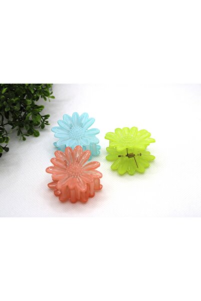 Tezcan Aksesuar Πολύχρωμη αγκράφα μοντέλου λουλουδιών (Συσκευασία 3)