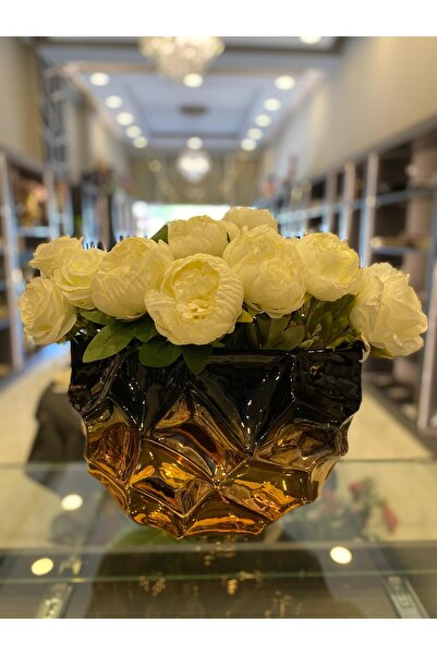 Lucian Design MODECOR VAZO