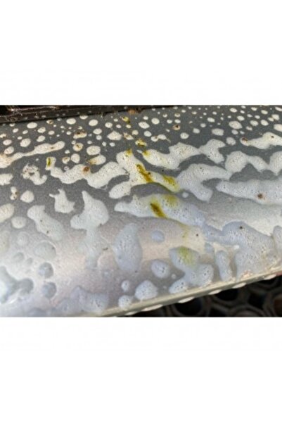 gtechniq Insect removal solution W8 Bug Remover Gtechniq 1L