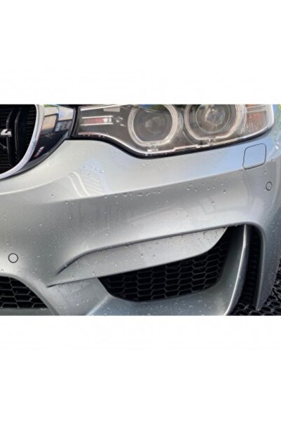 gtechniq Insect removal solution W8 Bug Remover Gtechniq 1L