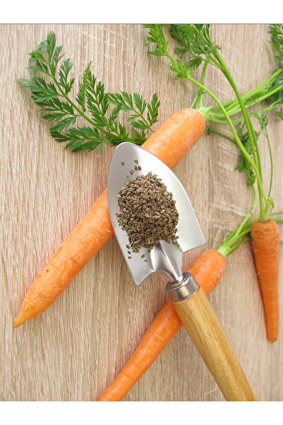 Antik Şifa Carrot Seed Oil and Argan Oil 2 X 20 ml - 100% Cold Pressed Pure