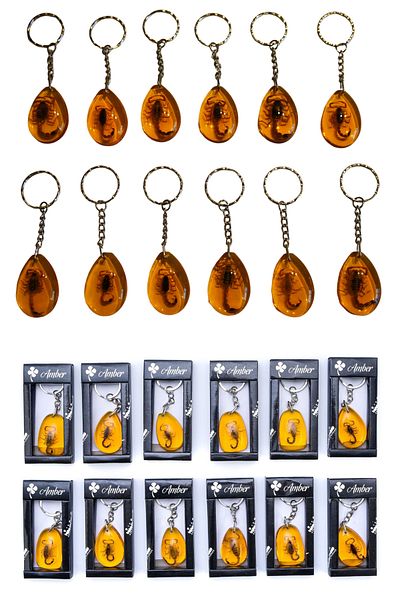 Wolawood Real Scorpion Fossil Set of 12 Keychain Natural Resin Transparent Car Bag Ornament Decor Gift Set