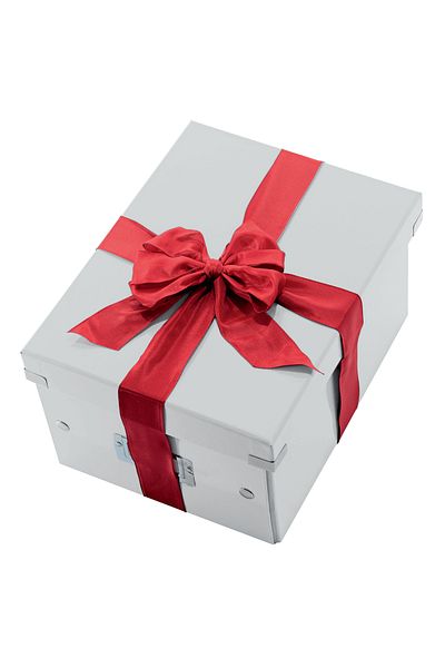 Leitz Medium Storage Box Leitz, Click and Store, Dimensions 281x200x370 mm, Color White