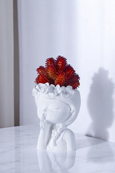 Evene Saksı Dekoratif Saksı Kaktüs Saksısı Sukulent Saksısı Küçük Saksı Model...