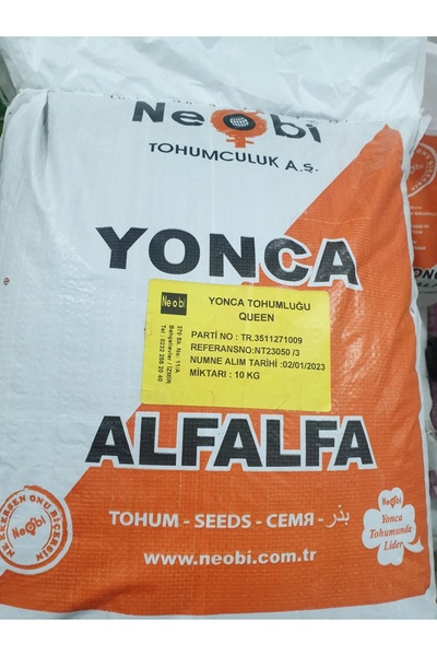 Neobi Queen Kaplamasız Yonca Tohumu 1kg