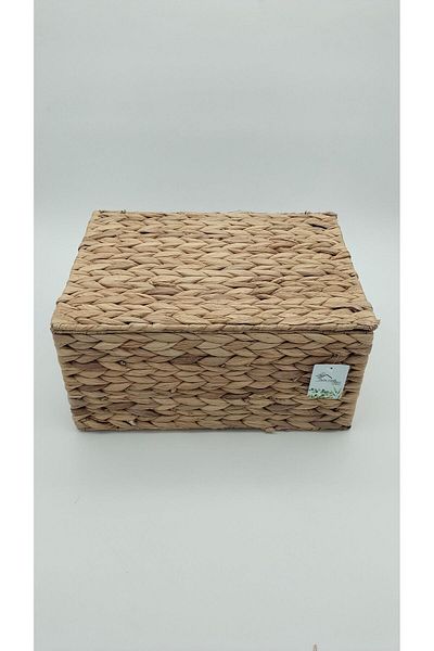 Green Eye Rectangular Lid Large Size Box 36X28X18 cm