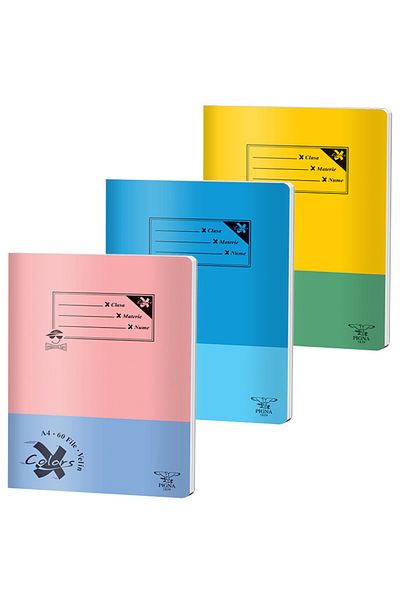 PIGNA , Notebook A4 60 Pages, Plain Ruling, Basic Cover, Stapled Binding
